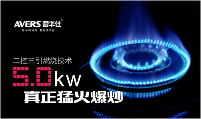 爱华仕厨卫电器喜获“中国十大燃气灶品牌”燃气奖